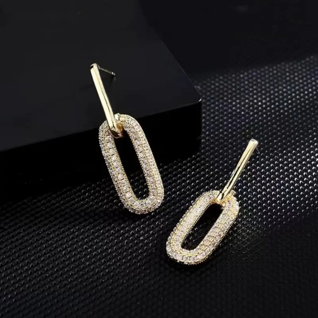 Luxury Charm Drop Earrings